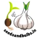 Seeedsandbulbs